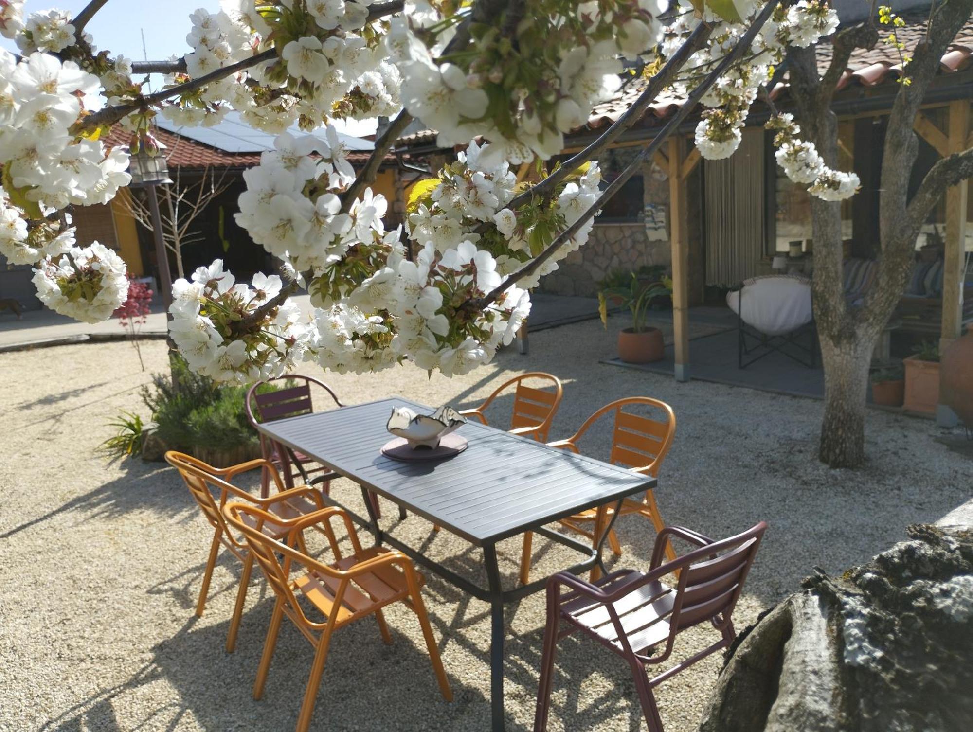 Apartamento Rural Se De Un Lugar El Torno (Extremadura) Exterior foto